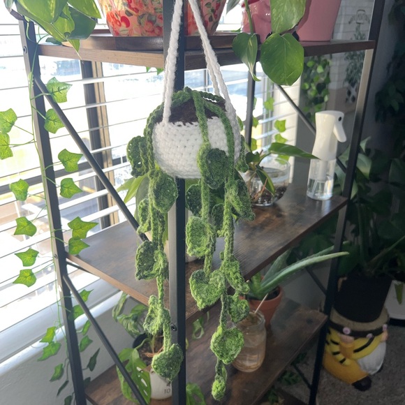 LIKE TO BE NOTIFIED FOR LIVE SHOWS - Picture 11 of 15